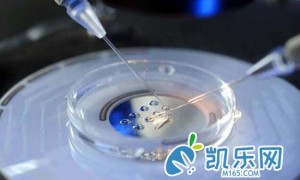 第3代试管费用价格表2022最新参考