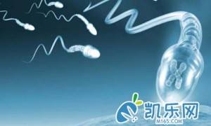 试管婴儿用医院的精子需要什么条件