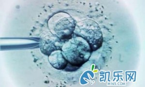 正常夫妻做第三代试管婴儿成功率