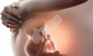 试管宝宝的话哪个季节比较适合