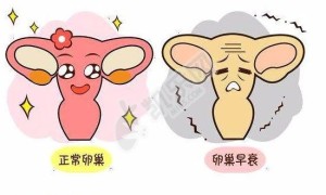试管婴儿促排卵能导致卵巢早衰吗?