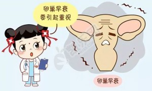 卵巢早衰严重试管成功案例