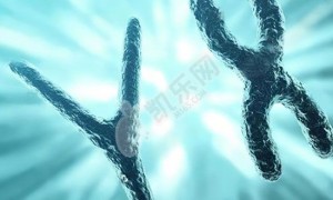 y染色体微缺失能做试管吗