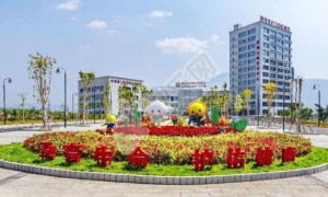 攀枝花市妇幼保健院试管婴儿怎么样?（附费用与成功率）