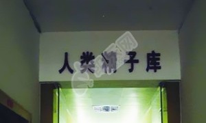全国有精子库的医院一览表