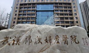 武汉试管婴儿私立医院排行榜 武汉私立试管医院成功率如何？