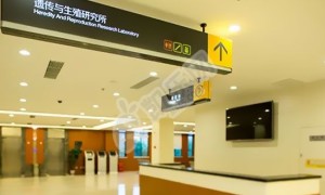 重庆的重庆北部妇产医院试管婴儿水平何如?（附费用与成功率）