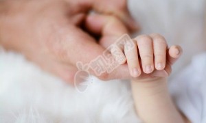 三代试管婴儿pgd、pgt和pgs分别是什么意思？区别在哪？