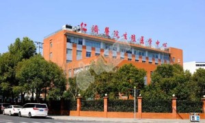 上海仁济做一次三代试管胚胎移植手术的费用大概多少？