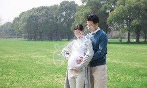 在高平公立医院申请供卵做试管都是什么流程？