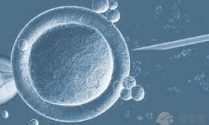 2022衡阳试管哪个医院成功率比较高？（附试管成功率参考）
