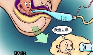 天津做第三代试管婴儿需要多少钱？附试管费用明细