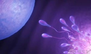 长沙湘雅医院做试管婴儿多少钱？试管费用会贵吗？