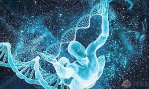 北京协和医院供卵试管婴儿费用多少？15万够不够？