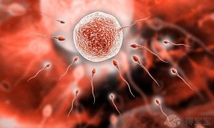 厦门大学第一附属医院做试管婴儿费用大概多少？