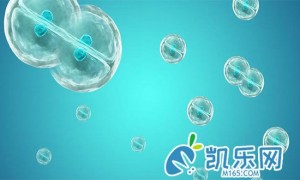 三代试管养囊成功率有多少?