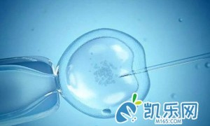 多囊患者想做试管婴儿成功率怎么样?
