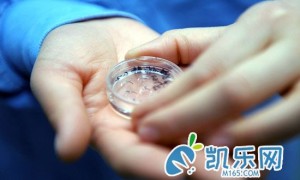 清洁度3度可以做人工授精?必读!