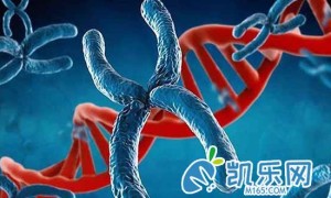 染色体异常做三代试管成功率怎么样?要注意什么?