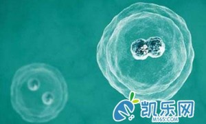 白带清洁度3做人授成功率如何?