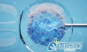 试管移植期间降调标准及注意事项!