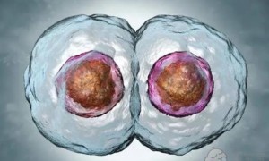 男性得了性疾病早期有什么症状？自检自查从这5个症状开始