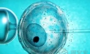 2022上海第十人民医院试管婴儿费用，是不是很贵？