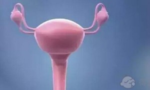 南昌正规私立机构卵子库卵子多少钱？附2022借卵生子做试管费用详情