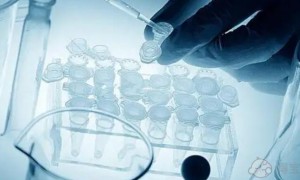 2022浙江中医药大学第二附属医院试管婴儿生子费用明细