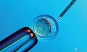 男性精子畸形率不低于98%可以做试管生孩子吗