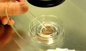 甲硝唑片的作用与用途是什么 副作用有哪些