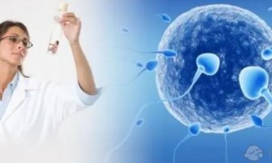 2023上海集爱医院做供卵试管婴儿费用多少？20万够吗？