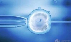 合肥试管婴儿费用大概要多少钱？这几家医院入选排行榜！