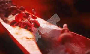 国内女和女骨髓生孩子成功案列存在吗？附女女成功率