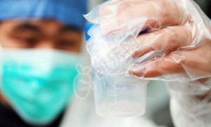 在国内申请供精试管需要准备些什么？附申请精子库的精子流程