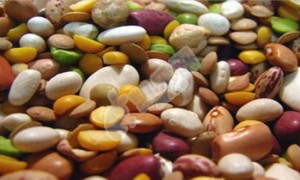 试管促排卵期间女性要避免哪些食物？附促排期间该注意事项