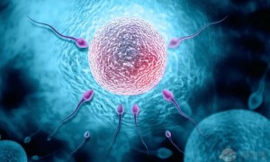 安徽省试管婴儿医院排名第一？附2022试管生男孩医院选择指南