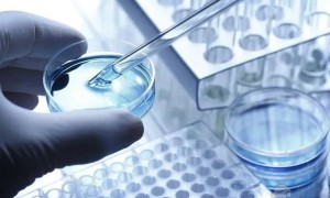 浙江省妇保试管婴儿多少费用？2022试管价格表参考