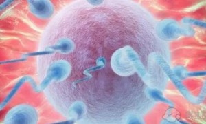 济南私立试管婴儿医院排名公布，哪家医院值得你选择？