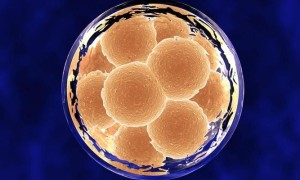 2022新疆试管婴儿费用明细一览，附新疆试管生男孩热门医院