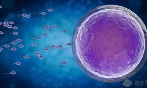 第三代试管婴儿包生男孩多少费用？附三代试管生男孩费用明细