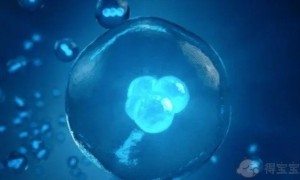 南京大学医学院附属鼓楼医院试管婴儿费用明细