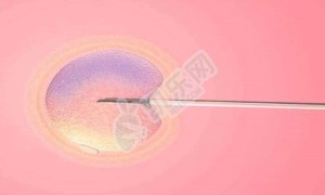 2022年试管费用能不能报销?有多少?