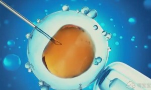 河北纵隔子宫做试管婴儿医院排名更新，附2022三代试管生男孩条件一览