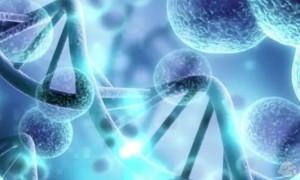 江西正规医院卵子库卵子多少钱？附2022江西供卵生男孩医院最新名单