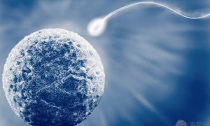 2022珠海市妇幼借卵生男孩费用多少？附三代试管借卵包生男孩条件参考