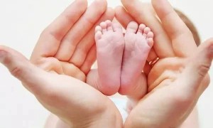 卵泡形状多种多样，圆形、椭圆形都有可能