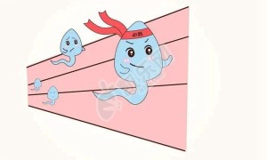 男方弱精可以做试管吗 如何预防弱精疾病