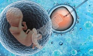 北京做供卵试管婴儿要花多少钱 2022年最新消息