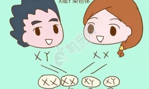 想生女儿怎么备孕 记住这5个建议